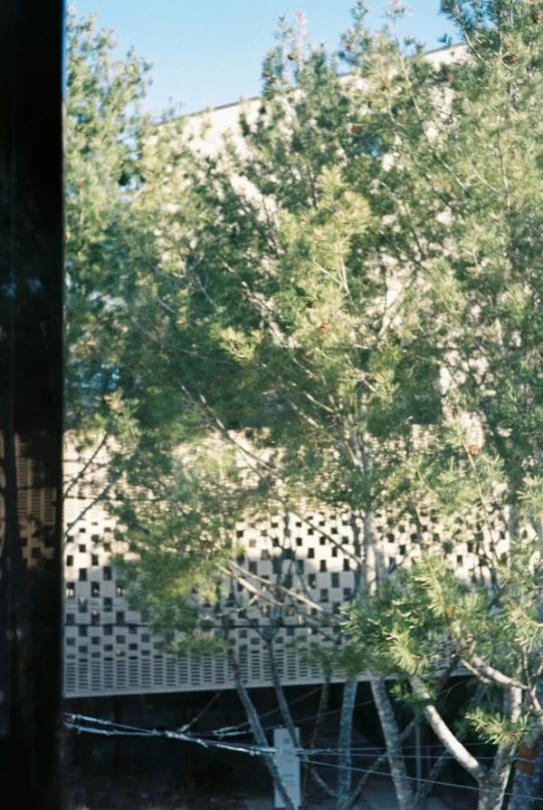 ムソロクの写真3