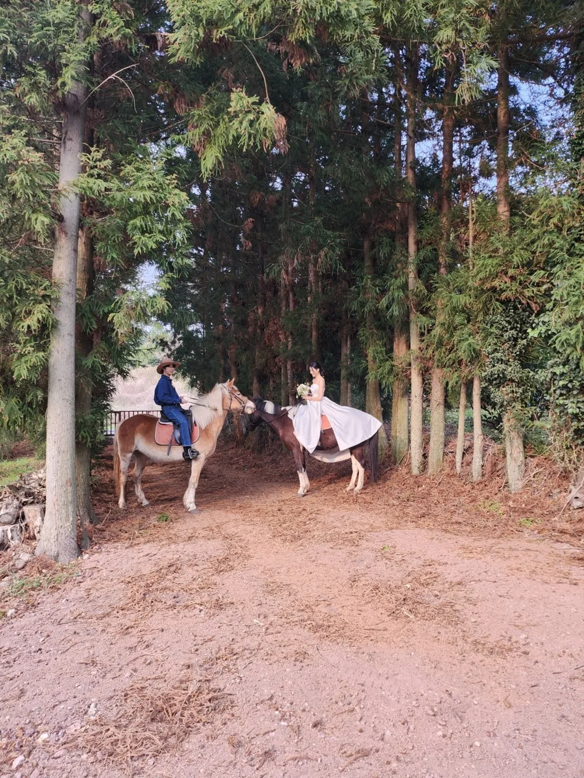ハッピーラン乗馬体験場のメイン写真