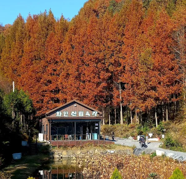 Hwain Sanlimyokjang, photo 2