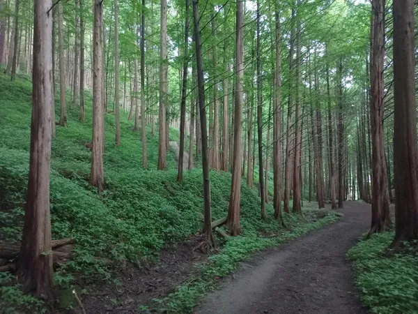 Hwain Sanlimyokjang, photo 3