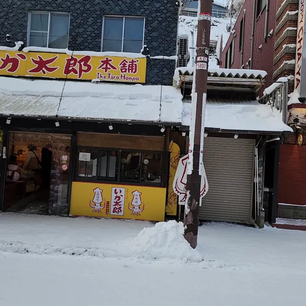 이카 타로 혼포の写真3