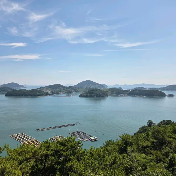タラ展望台の写真3