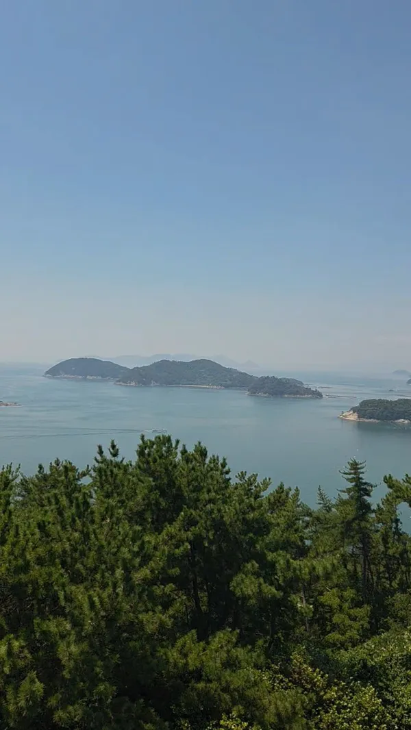 タラ展望台の写真5