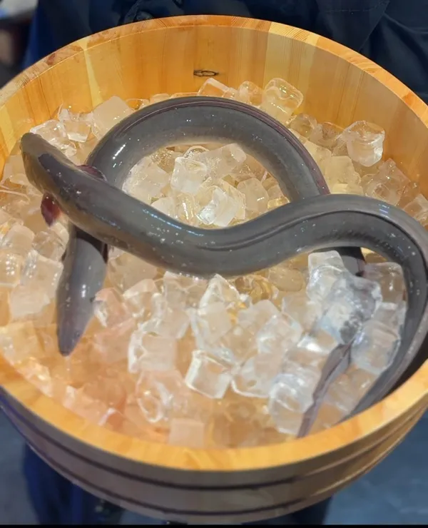조대장 사진 4