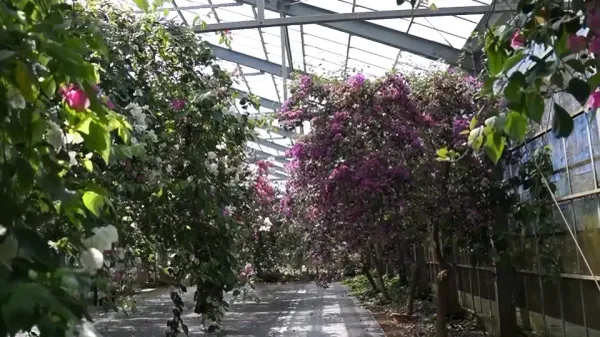 Utopia Farms Miyakojimaの写真2