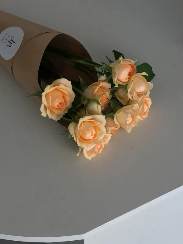 르부아 사진 4