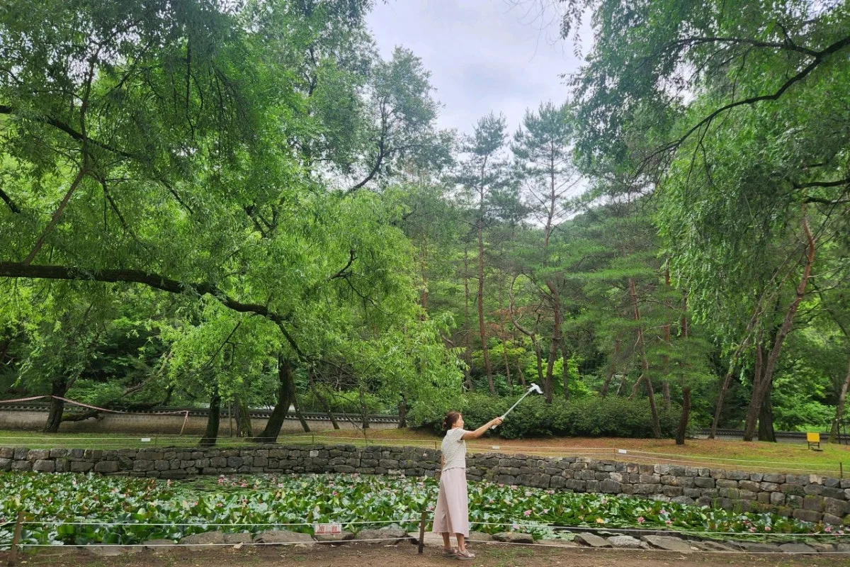 단종역사관のメイン写真