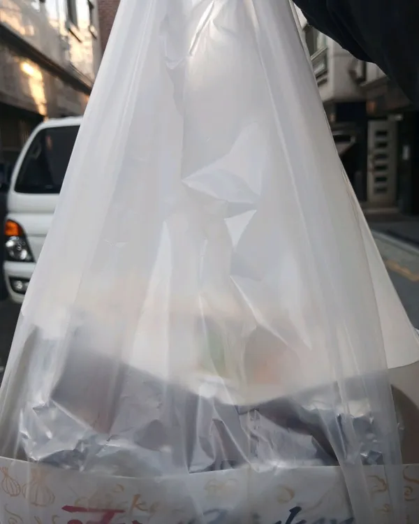 チキンパクサの写真2