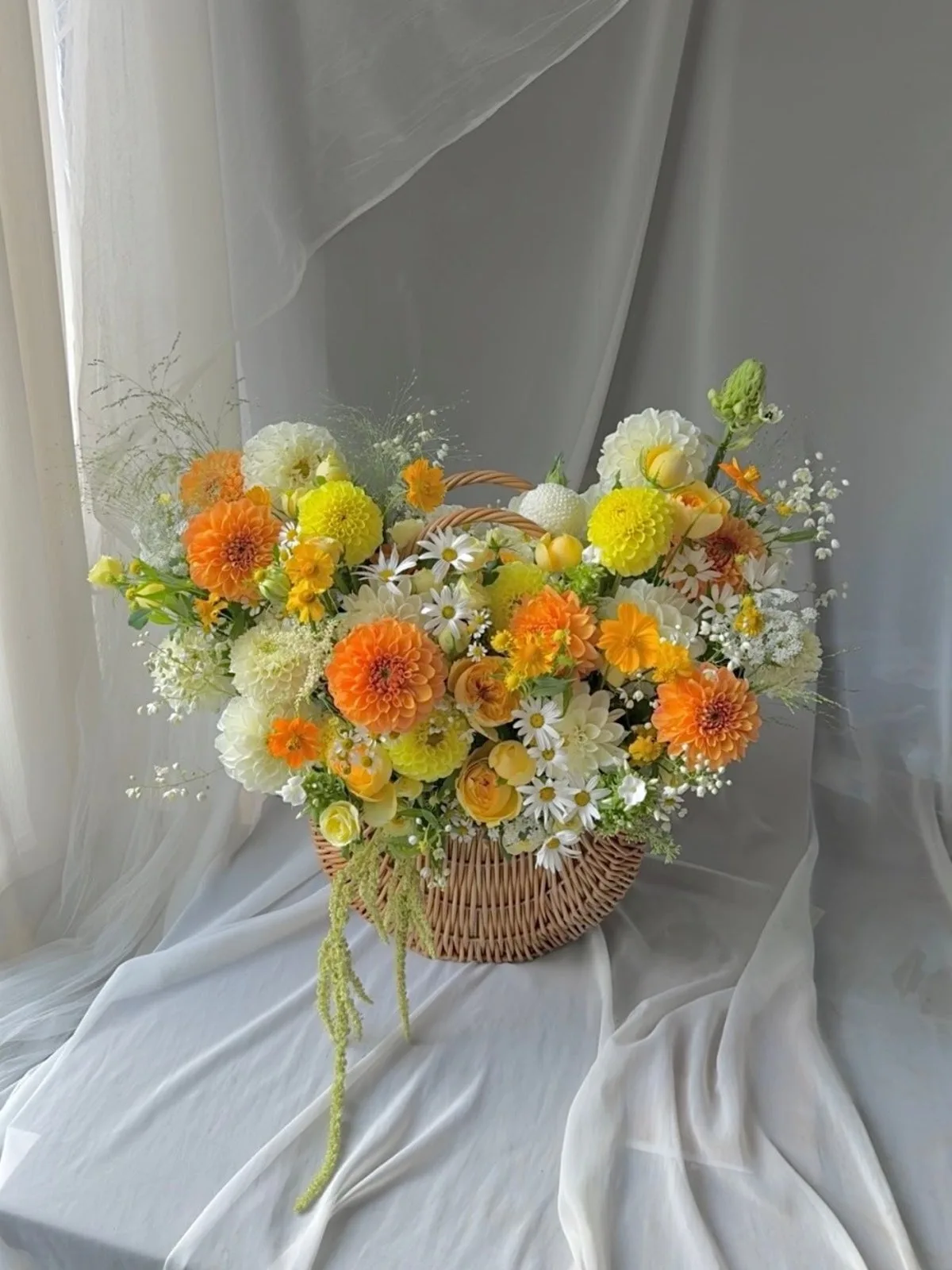 La Flora J, main photo