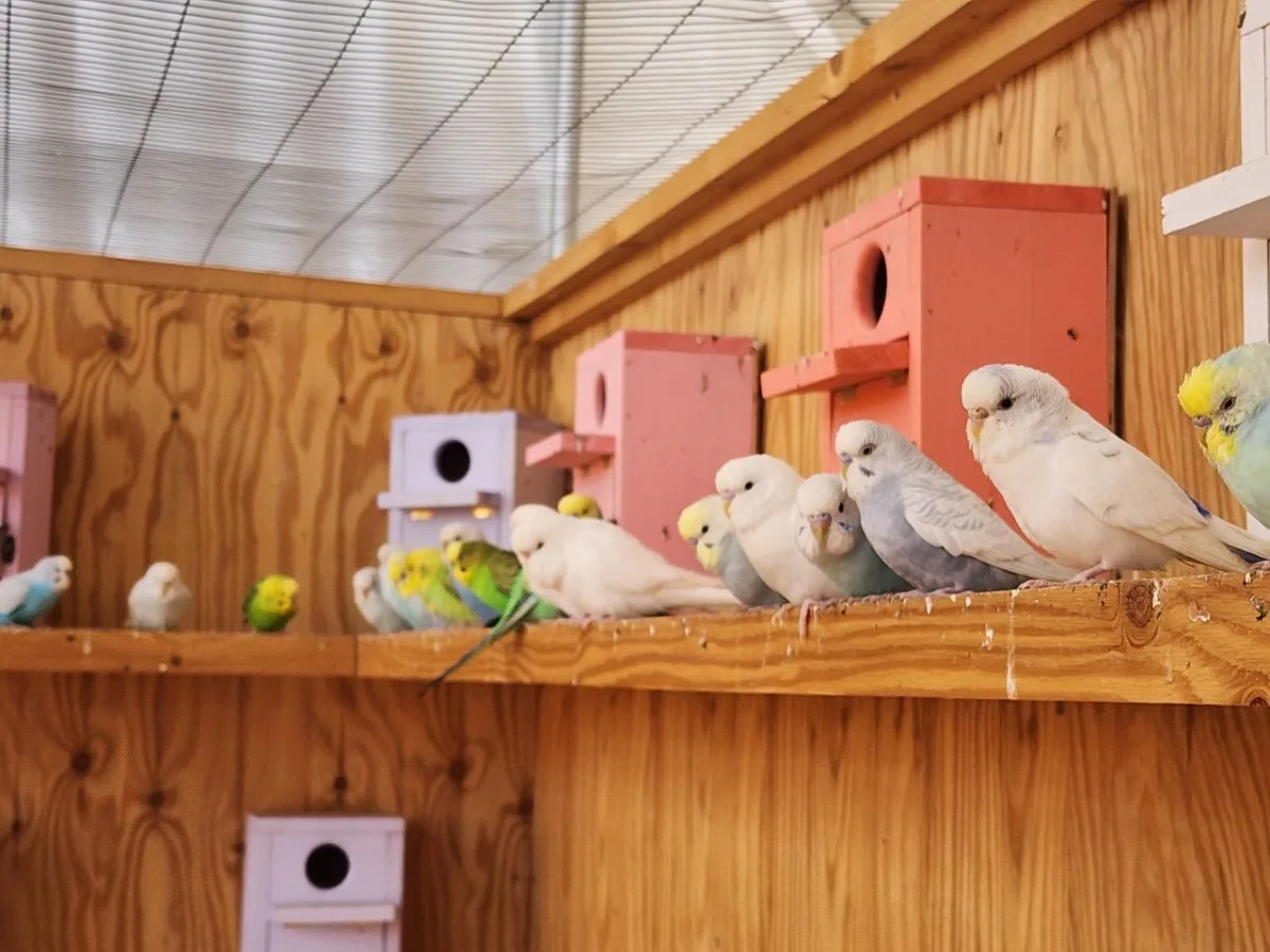 ソプンのメイン写真