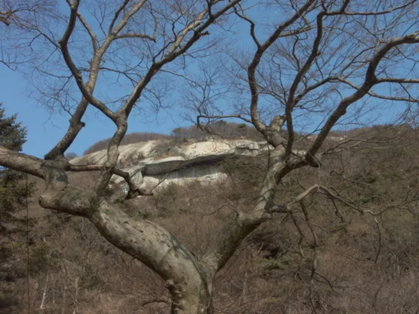 보문사 사진 4
