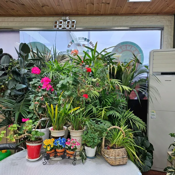 원조옛날안흥찐빵の写真3