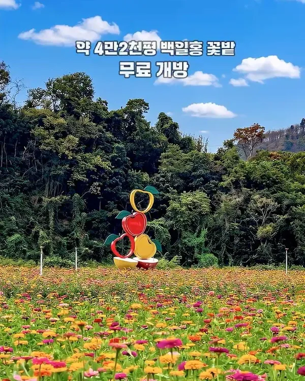 산소카페 청송정원 사진 2