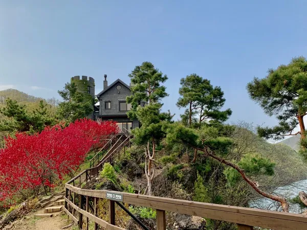 天上の庭園 水生植物学習院の写真4
