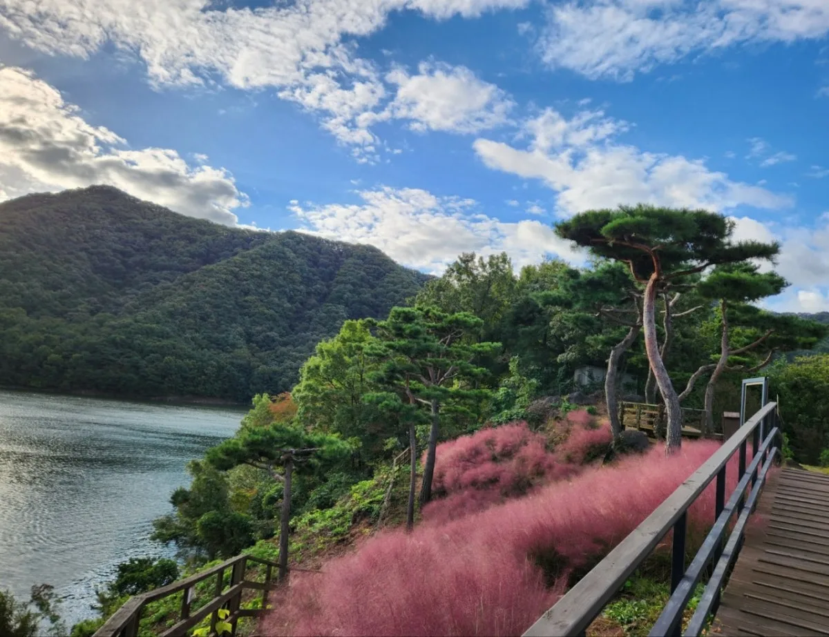 天上の庭園 水生植物学習院のメイン写真
