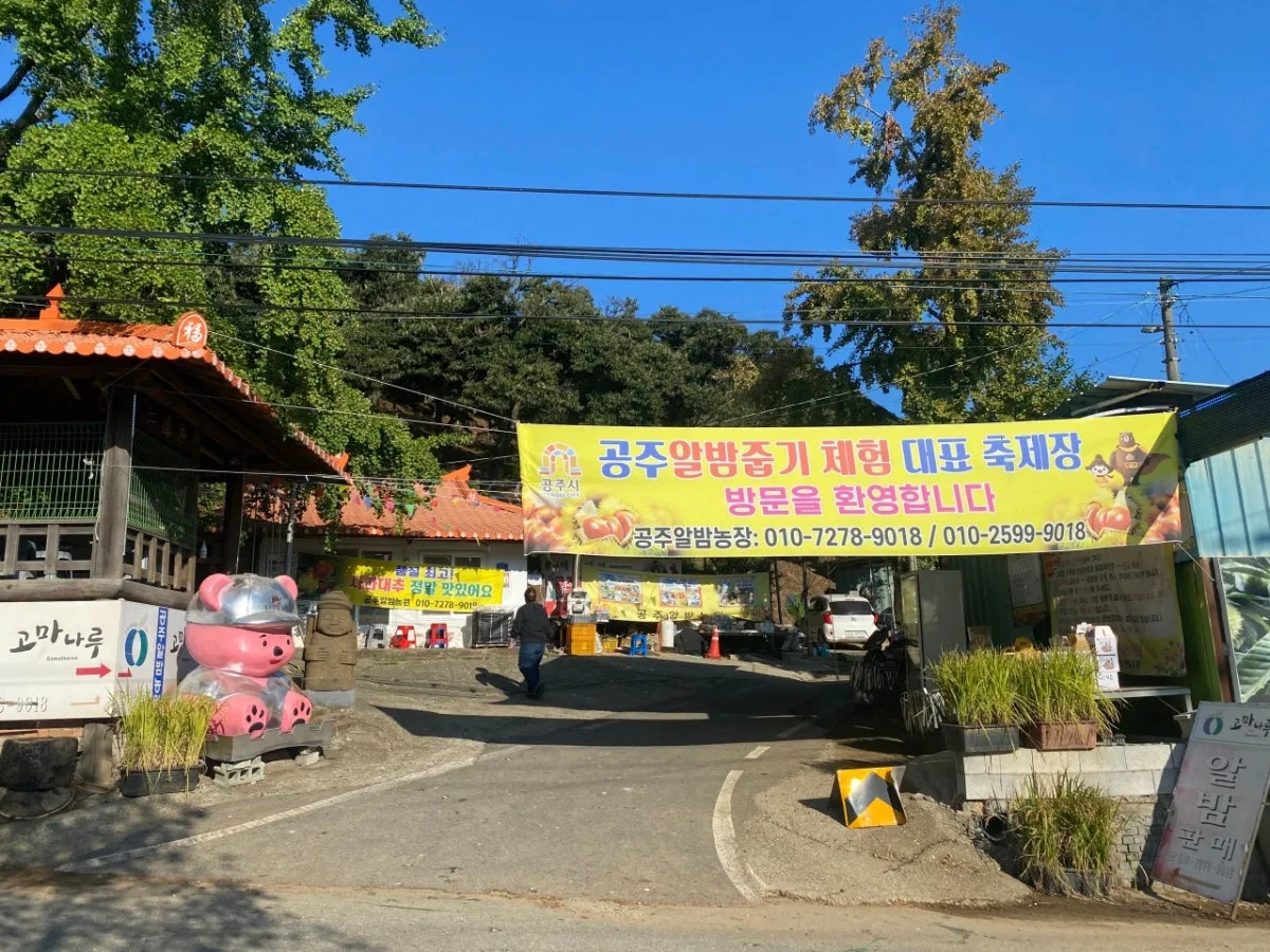 공주알밤농원 대표 사진