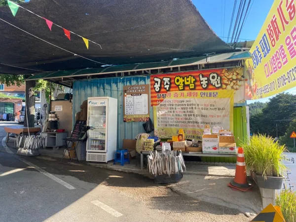 공주알밤농원 사진 2