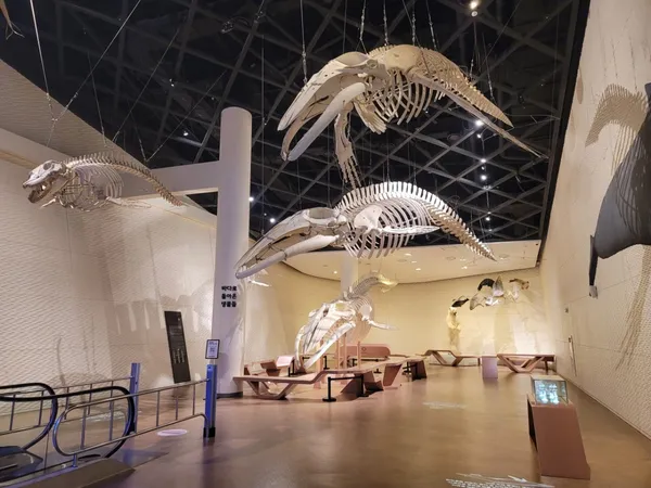 国立海洋生物資源館