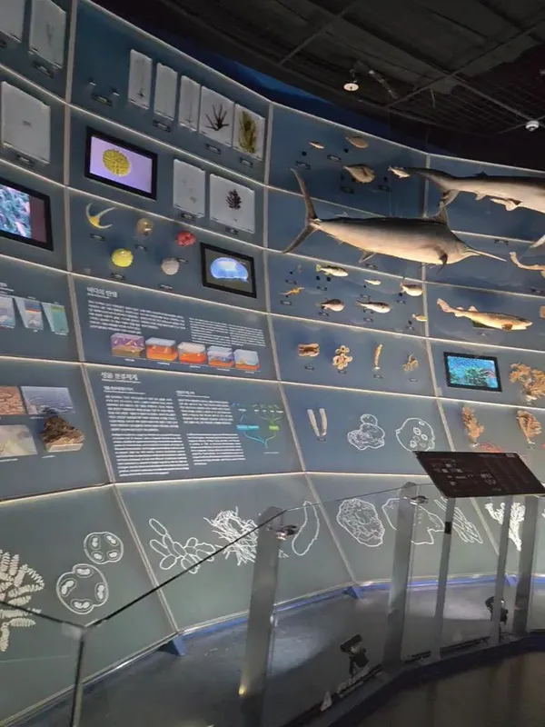 国立海洋生物資源館の写真5