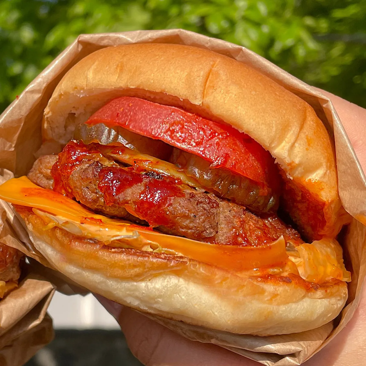 イスンシン スジェバーガーのメイン写真