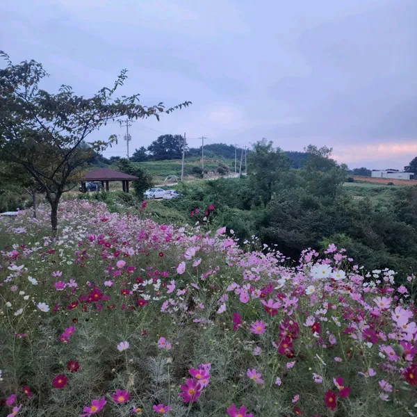 옥천휴게소(부산방향) 사진 2