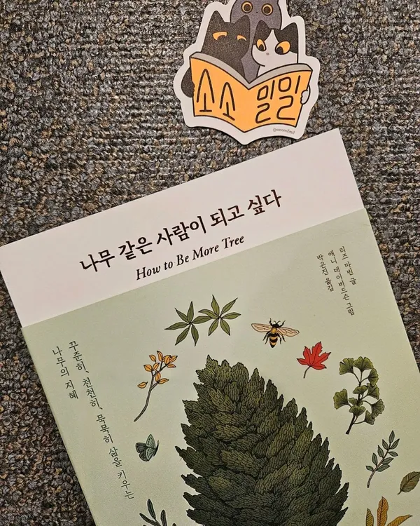 소소밀밀 그림책서점の写真4