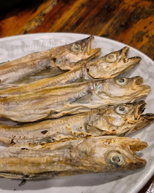 엘베강 사진 3