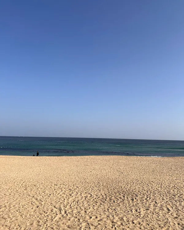 강릉커피거리 사진 2