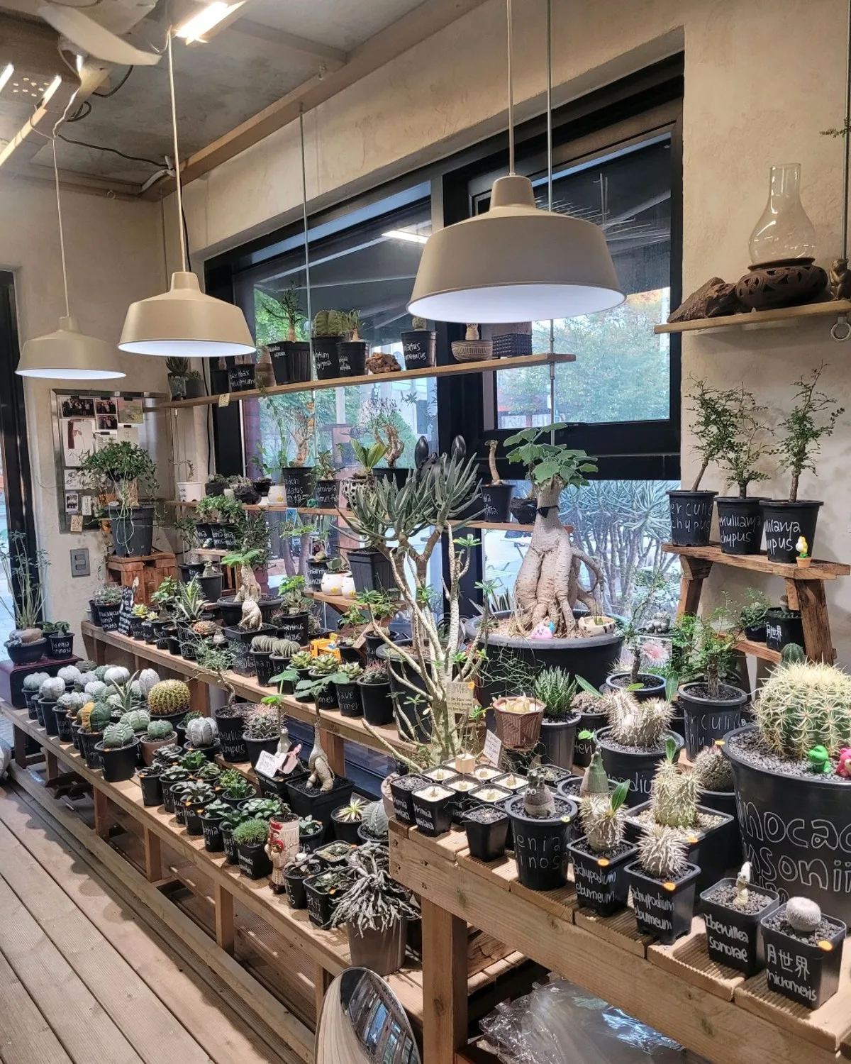 ボントゥビガードナー ヨンナム本店のメイン写真