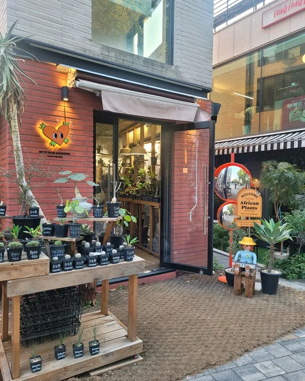 ボントゥビガードナー ヨンナム本店の写真4