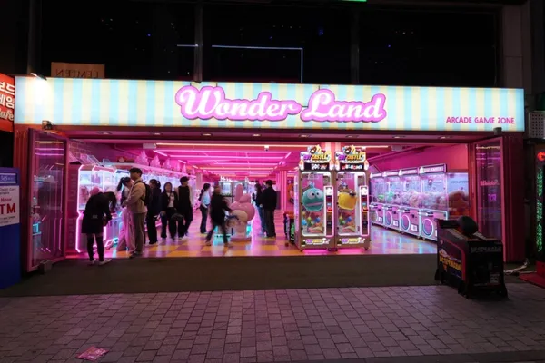 ワンダーランドの写真2