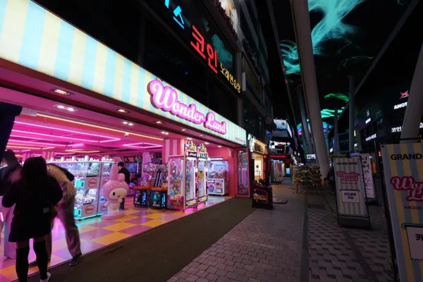 ワンダーランドの写真3