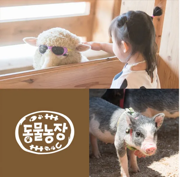 サンハノンウォンの写真4