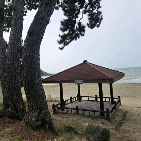 가마미해수욕장 사진 4