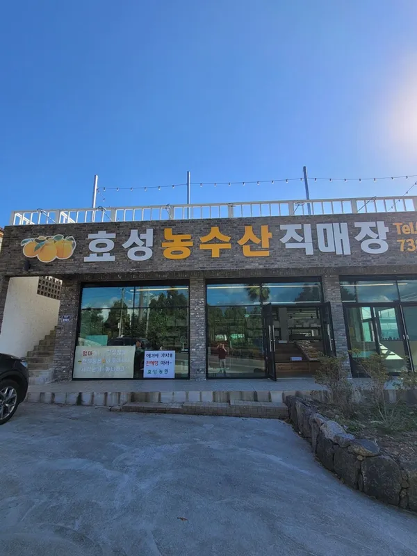 한라봉체험농장 효성농원の写真4