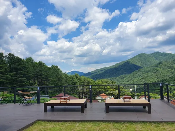 カフェ イミウンの写真2