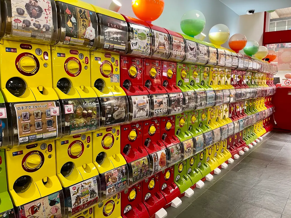 ガチャ王国オズコレボ大街道店のメイン写真