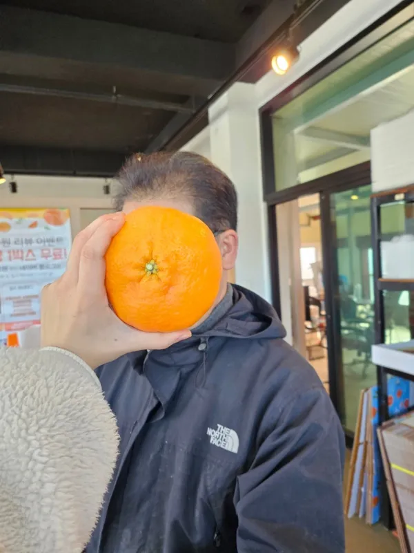 한라봉체험농장 효성농원の写真5