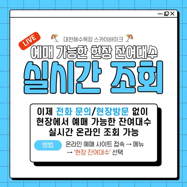 대천해수욕장 스카이바이크 사진 2