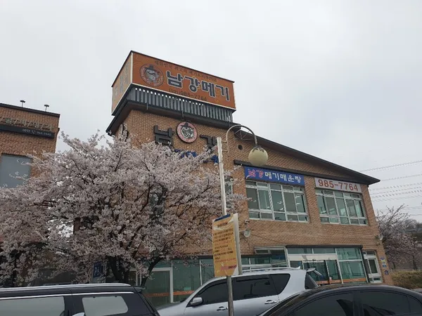 남강메기매운탕 본점, photo 4