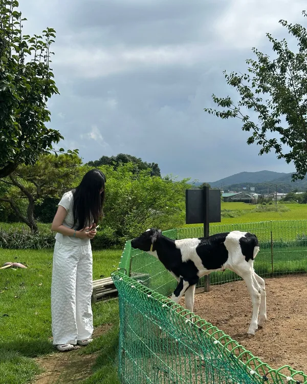 ポリョンウユの写真3