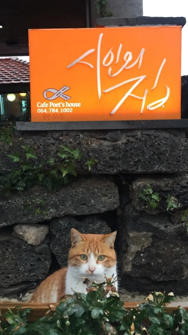 シインの家の写真3