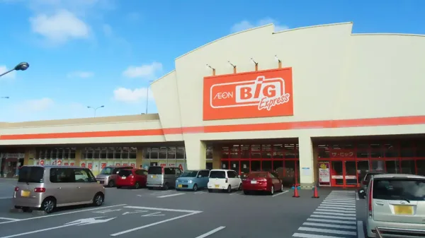 Aeon Big Express, photo 4