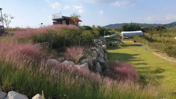 동창이밝았느냐