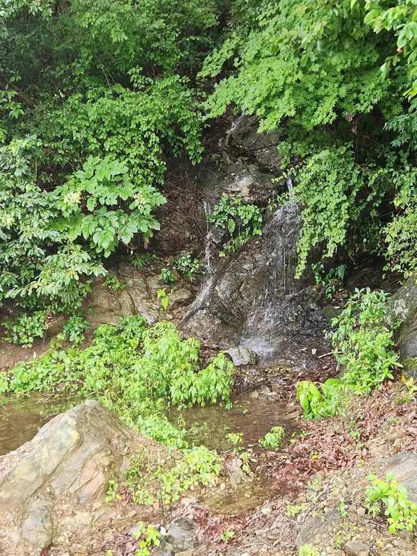 지우캠핑농원 사진 5