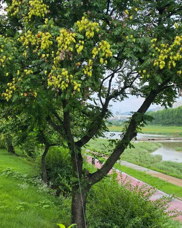 갑천근린공원 사진 3