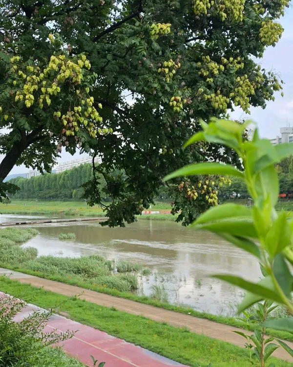 갑천근린공원 사진 4