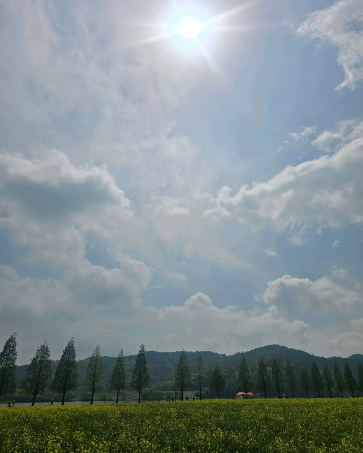 ナムジチェユク公園のメイン写真