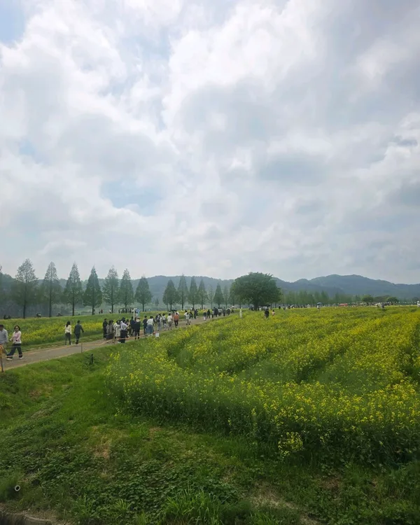 ナムジチェユク公園の写真3