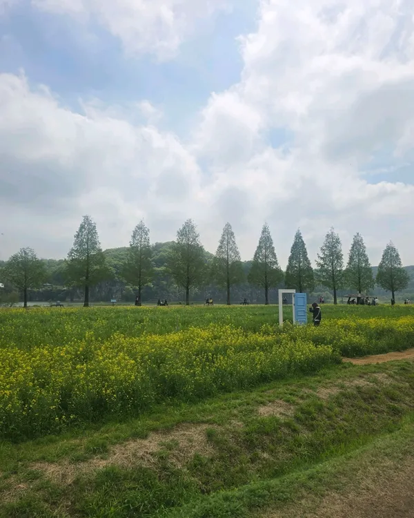 ナムジチェユク公園の写真4
